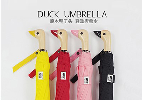 5c89fa0529f63.jpg 5c89fa0529f63.jpg