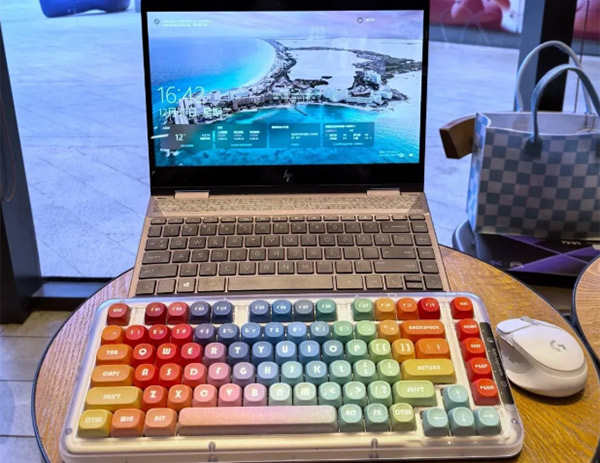 699d702700d9a.jpg 699d702700d9a.jpg